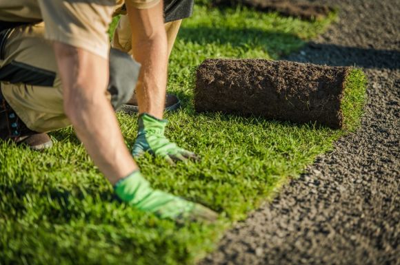 a landscape architect from Mandurah Landscaping tending to a garden